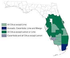 Fruit tree map received after defeating ten colossi in normal time attack or six colossi in hard time attack, the fruit tree map allows wander to see all of the fruit trees on a map. Florida Fruit Tree 2019 Fl Rma