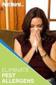These actives are the better choice to use if you have active termites because they will assuredly walk through it. 200 Termite Pest Control In Northwest Florida Ideas In 2021 Termite Pest Control Pest Control Pests