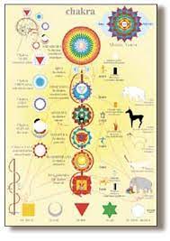 Preventative screening for holistic practitioners. Pin By Aether Force On Subtle Anatomy Of The Biofield Subtle Anatomy Map Anatomy