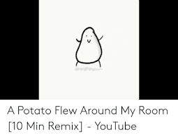 Please click the thumb up button if you like the song (rating is updated over time). 25 Best Memes About A Potato Flew Around My Room Song Lyrics Meme A Potato Flew Around My Room Song Lyrics Memes