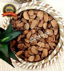 Image result for Hunteria umbellata