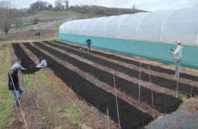 Asher Craig: Discovering Gold