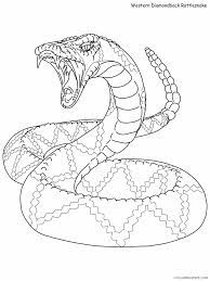Download rattlesnake coloring page and use any clip art,coloring,png graphics in your website, document or presentation. Rattlesnake Coloring Pages Animal Printable Sheets Rattle Snake 2021 4261 Coloring4free Coloring4free Com