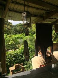 The finishing is as good as of that of uk. Sarah Mcmenimen Various Sculpture Digestion Songs Exocism Plots About Sarah Mcmenimen About Mud Various Sculpture Digestion Songs Exocism Plots Installation View Species 2016 Images Taken At My Uncle S House In Waimea Hi Documentation