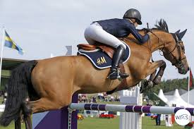 Maybe you would like to learn more about one of these? Malin Baryard Johnsson Makes It A Home Win In Falsterbo World Of Showjumping