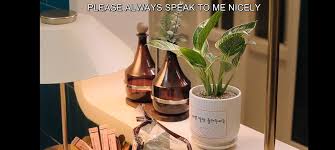 Bora! Deborah]: I never related to anyone as much as I did to this plant :  r/KDRAMA