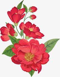 Hand Painted Watercolor Flowers Pretty Decoration Beautiful Hand Painted Red Clipart Flowers Clipart Flower Art Drawing Flower Drawing Hibiscus Flower Drawing