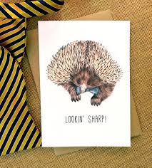 Lookin Sharp Handmade Illustrated Card Echidna Card Illustration Illustration Funny Valentines Cards