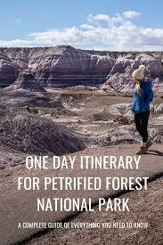 First, we are national park junkies and have not visited one we didn't enjoy. One Day In Petrified Forest National Park A Complete Guide Uprooted Traveler