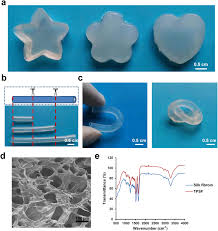 Curs valutar actual euro în lei moldovenești pentru astăzi în moldova (chișinău). Pure Silk Fibroin Hydrogel With Stable Aligned Micropattern Toward Peripheral Nerve Regeneration