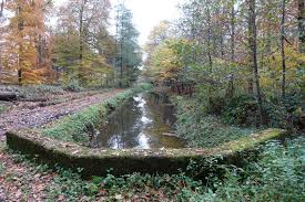 Amici lodges camping und freizeitpark am effelder waldsee für die ganze familie in der nähe des shopping outlet roermond. Effelder Waldsee Schloss Elsum Foto