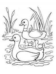 Schwan Ausmalbilder Gratis Ausmalbilder Ausdrucken