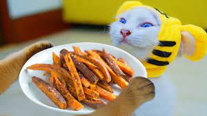 pin on cooking cat sweet potato sugar butter fries