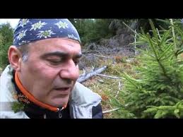 Comuna bilbor judetul harghita filmare pentru bilborul ro. Cu Tigaia N Spate ZacuscÄƒ Si Muratura Cu Ghebe Plus O FripturÄƒ De MistreÅ£ Partea 1 Youtube Youtube Romanian Food