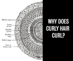 Identifying your curl shape and pattern (or patterns) is best determined while your hair is sopping wet. Curls Week Why Does Curly Hair Curl Hair Romance
