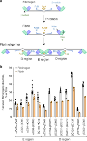 Image result for Fibrinogen