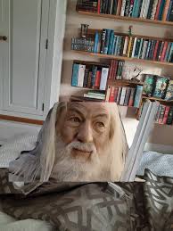 TBR Growing Challenge: My Book Buying Ban Struggles