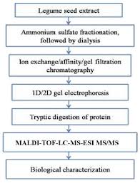 A Flow Chart Entailing Purification And Characterization Of