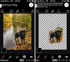 This free background changer app provides you with a simple way to change image background, change color, add photo frames, make photo collages, add stickers, make cutout, blur. The Best Background Photo Editor Apps For Iphone