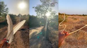 Image result for tbn:F7HKJEZ28fhrGM::www.artthrob.co.za/06jan/images/borland02a.jpg