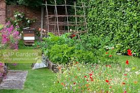 Just make sure that you don't plant the same vegetable in the. A Small Wildflower M Stock Photo By Nicola Stocken Image 0509733