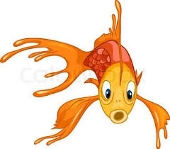Thumb Colourbox3812028 Jpg 320 280 Tropical Fish Fish Stock Fish Clipart