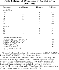 How many types of cacti are there? Pdf Homeostatic Balance Between Dorsal And Cactus Proteins In The Drosophila Embryo Semantic Scholar