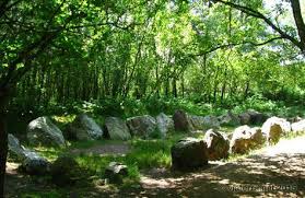 Broceliande Jardin Aux Moines Photo Bretagne