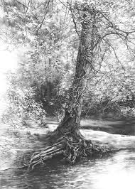 Black And White Pencil Drawings Of Trees Fairytale Tree Original Drawing By Katarzyna Kmiecik Original Pencil Landscape Original Tree Drawing Sunny Forest Realistic Tree Trees Tree Drawings Pencil Landscape Drawings Realistic Pencil Drawings