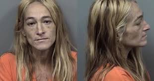 Citrus County Mugshots Jan. 31, 2019