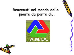 Scopriamo chi sono veramente le piante grazie all'amicizia tra un uomo che le conosce bene, il professor stefano mancuso, e uno che le capisce male, l'appassionato giovanni storti. Benvenuti Nel Mondo Delle Piante Da Parte Di