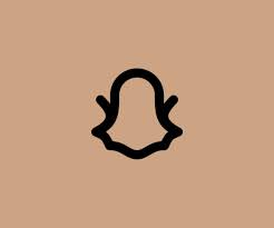 Over 900 animated icons, 5 design styles, available in json for lottie, gif, and after effects format Light Brown Beige Snapchat Logo Icon Iphone Photo App Snapchat Logo Iphone Icon