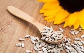 Image result for Sunflower oil
