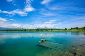 Manage your video collection and share your thoughts. è‡ºæ±æ£®æž—å…¬åœ' å°æ±è§€å…‰æ—…éŠç¶²