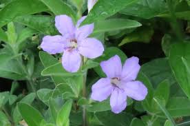 801 73rd, suite h des moines, ia 50324 73rd street & 235. Bleeding Heartland