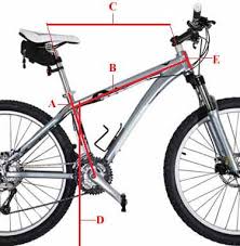 Mountain Bike Frame Size How To Know If It Fits You Properly