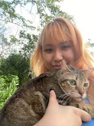 Kitty jumps over others with red laser dot