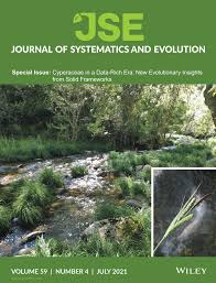 Image result for Schoenoplectus muriculatus