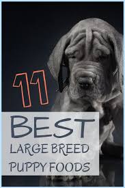 The ideal large breed puppy foods are designed the food for this category of puppy should have less energy density to help them grow safely into their large frames. 11 Best Large Breed Puppy Foods With Our Most Affordable Pick 2021 Large Breed Puppy Food Puppy Food Large Dog Collars