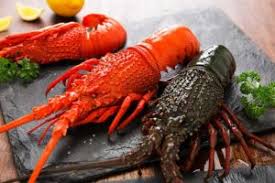Check spelling or type a new query. Aragosta Astice Lobster E Aragosta Blu Ilcuocoincamicia Com