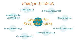Niedriger Blutdruck Was Tun Ihre Apotheke Informiert