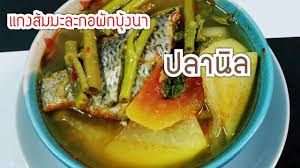 Jun 19, 2019 · ภาษาถิ่นของภาคเหนือ เรียกว่าภาษาถิ่นพายัพ (คำเมือง) คือภาษาถิ่นที่ใช้สื่อสารอยู่ในบางจังหวัดของภาคเหนือตอนบน หรือภาษาในอาณาจักรล้านนาเดิม à¹à¸à¸‡à¸ª à¸¡à¸¡à¸°à¸¥à¸°à¸à¸­à¸œ à¸à¸š à¸‡à¸™à¸² à¸›à¸¥à¸²à¸™ à¸¥ à¸¥ à¸‡à¸˜à¸£à¸£à¸¨ Youtube