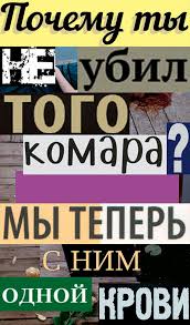 мы с тобой одной крови ты и я песня Pin Ot Polzovatelya Lazy Ezhik Na Doske To Samoe V 2020 G Smeshnye Shutki Smeshnye Memy Yumornye Citaty