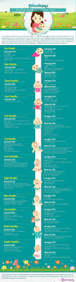 Your Babys Developmental Milestones 0 12 Months 1st Year