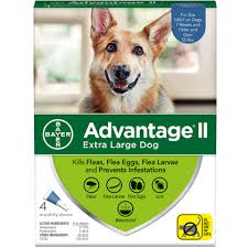 advantage ii 4pk dog over 55 lbs