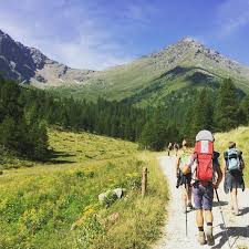 La struttura dista solo 800 metri dalla fermata degli autobus che la collega con il centro di firenze, 20 minuti di auto dalla stazione ferroviaria di santa. La Casa Di Olivo Tassul Aktualisierte Preise Fur 2021