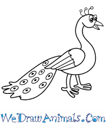 We have hand picked some video tutorials which can help you to learn how to draw a peacock ! How To Draw A Cartoon Peacock