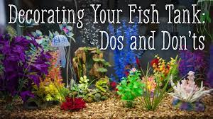 While your tank won't be utilizing aquaponics anymore, the water garden can certainly be used as a beautiful hydroponic planter. How To Decorate Your Fish Tank Dos And Don Ts Pethelpful
