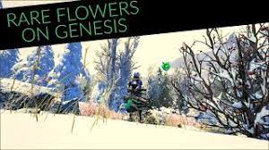 Rare Flower Location And Gathering On Genesis Youtube