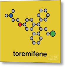 Image result for Selective Estrogen Receptor Modulator
